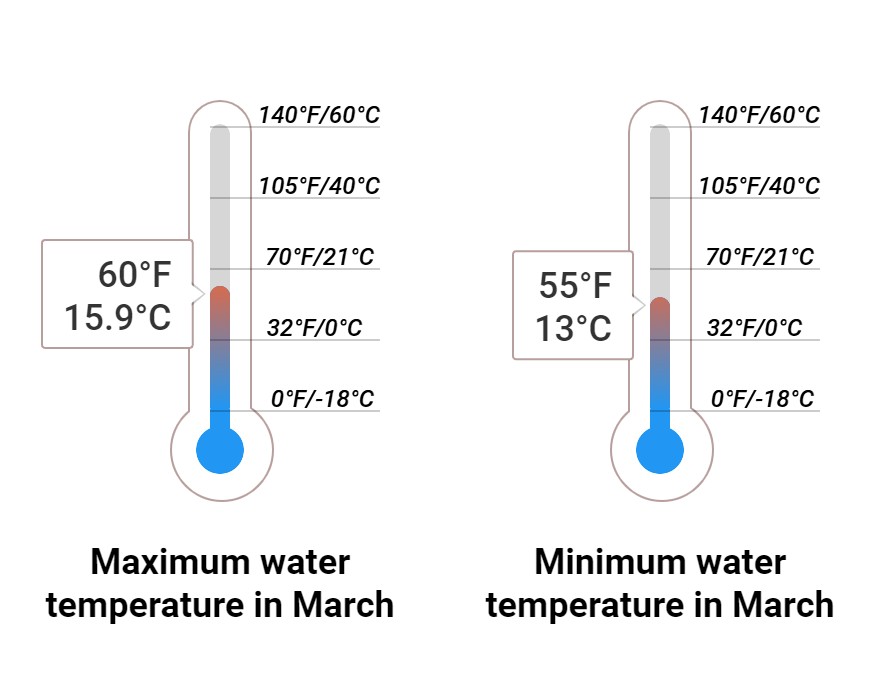Average Sea temperature